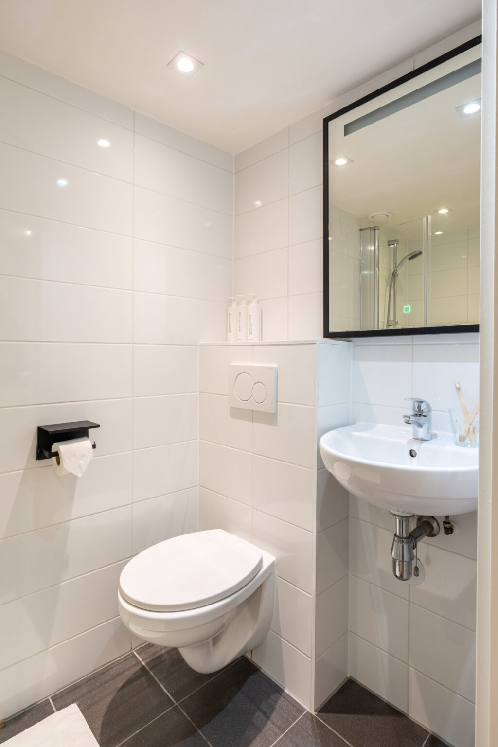 AMS-Dockside-Flats-Duplex2-toilet-sink